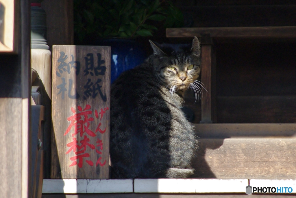 何か妖怪？