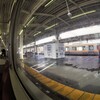 しずおくん、いますか？