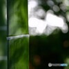すずしい場所を求めて・・・