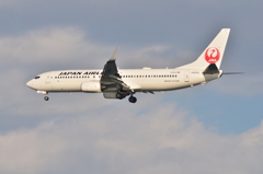 JAL 737-800 which I took with nikkor