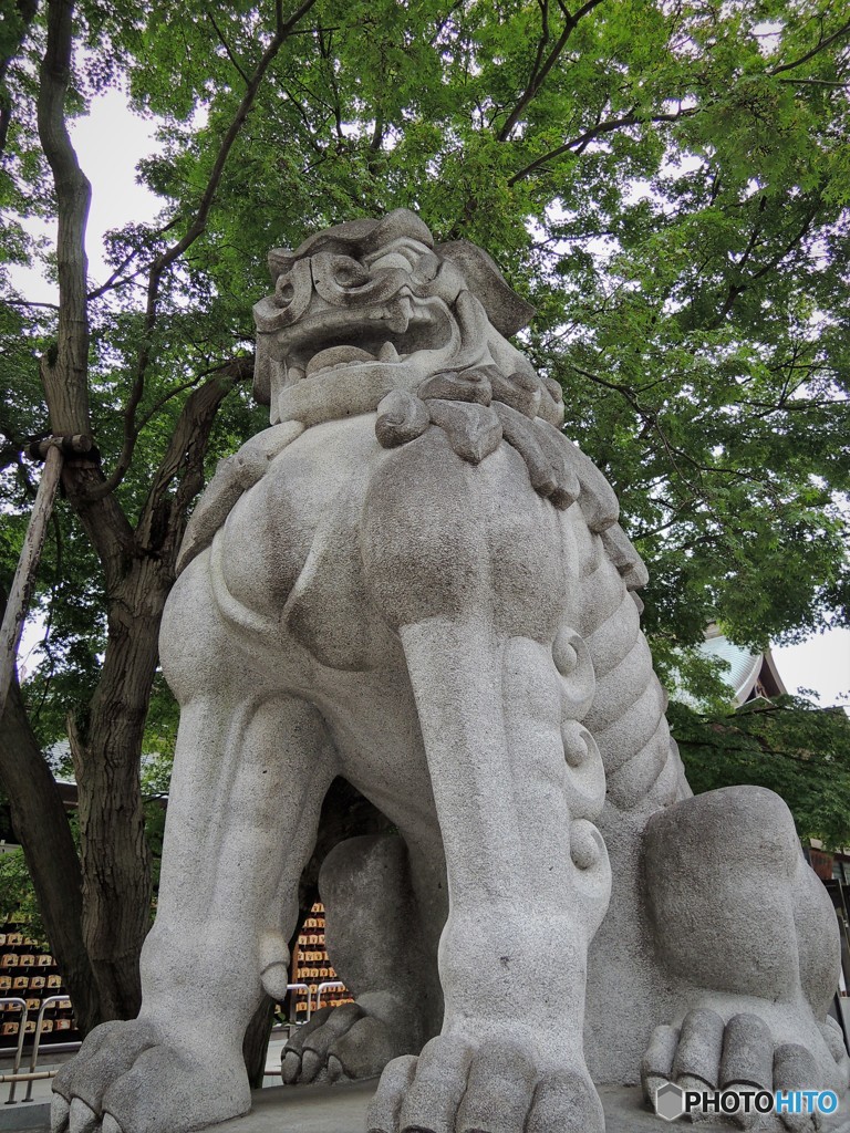 阿！