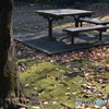 Seat for an invited guest