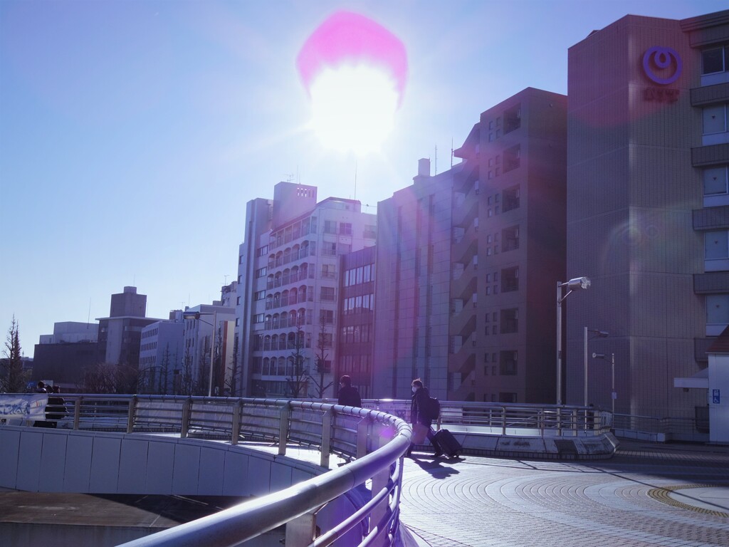 ここでは箱根駅伝を・・・