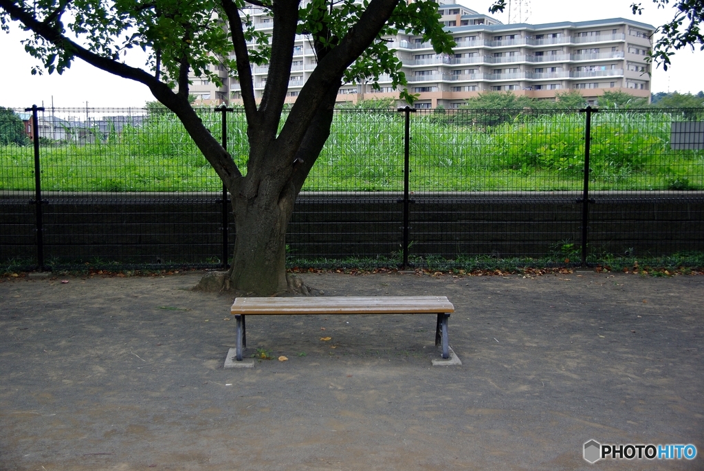 Bench of the park