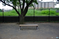 Bench of the park