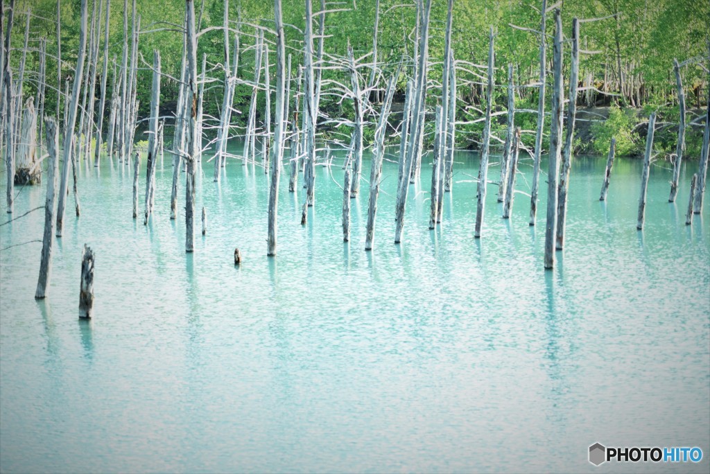 神秘の池・・・
