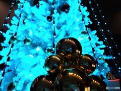 season in・・・ (2)