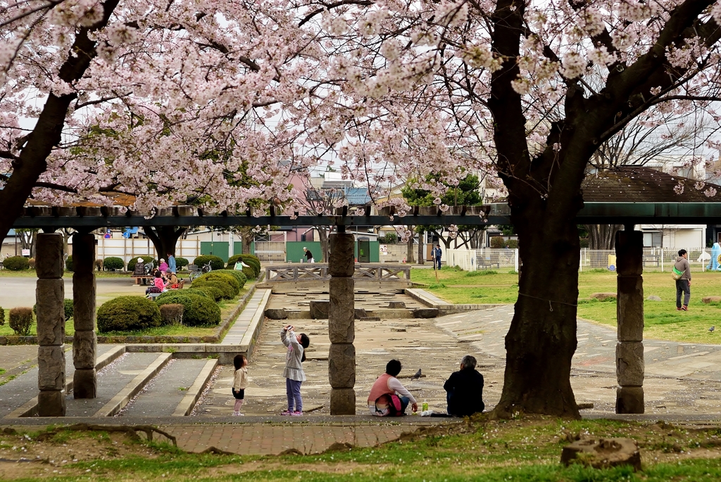 ”enjoy flower viewing”