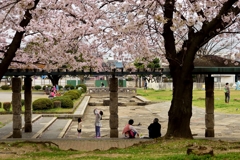 ”enjoy flower viewing”