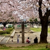 ”enjoy flower viewing”
