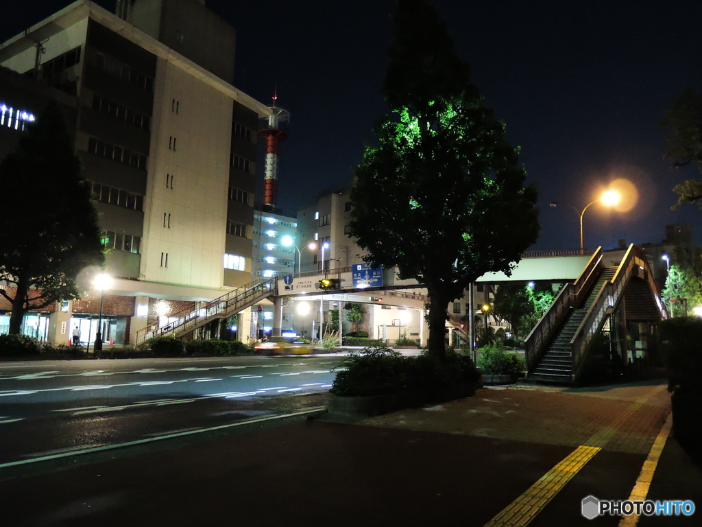 夜散歩して