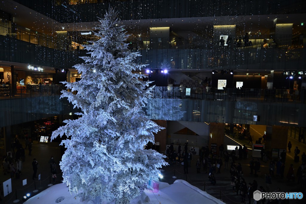 Xmastree・・・