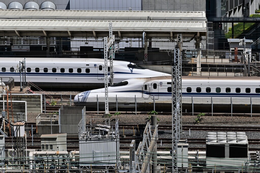 Blue-train