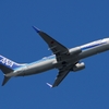 ANA　737‐800