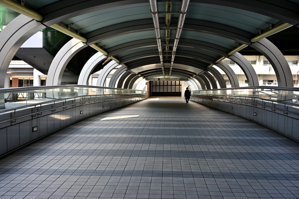 この先に・・・