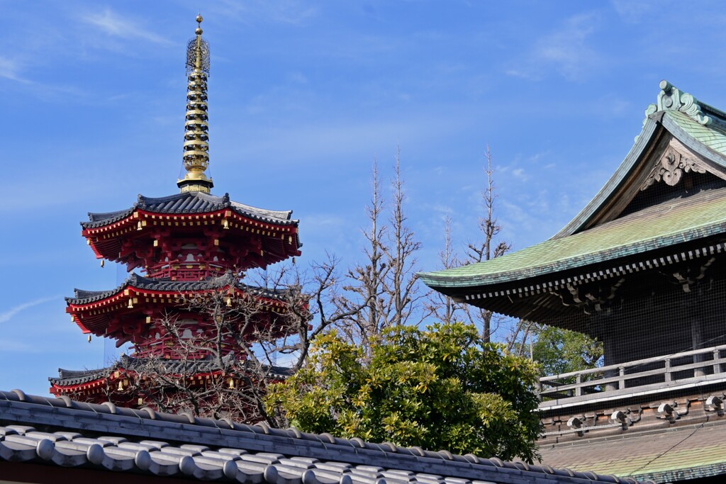 五重塔と・・・