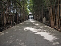 みち・・・