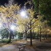 夜の公園