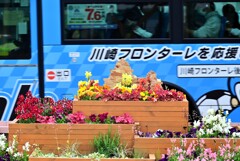 川崎フロンターレを応援・・・