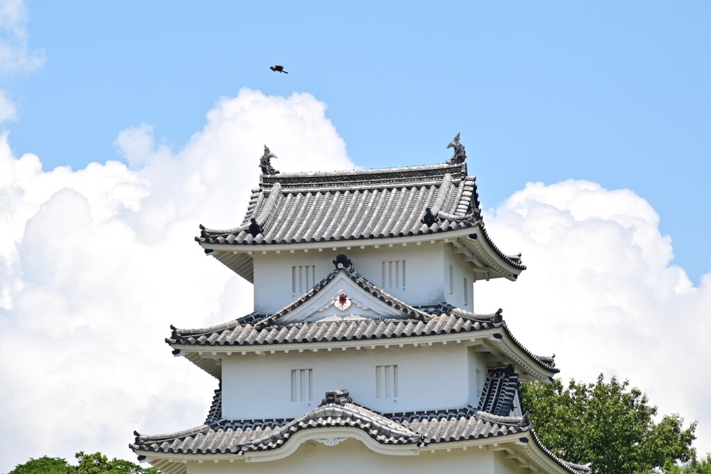 にたか