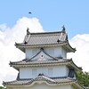 にたか