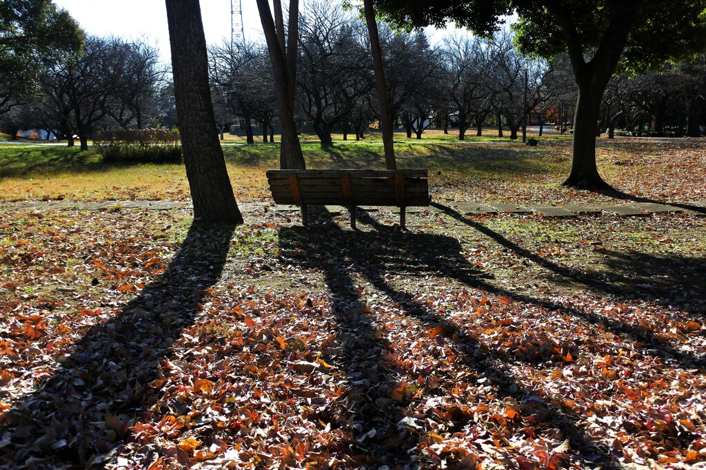 Bench