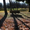 Bench