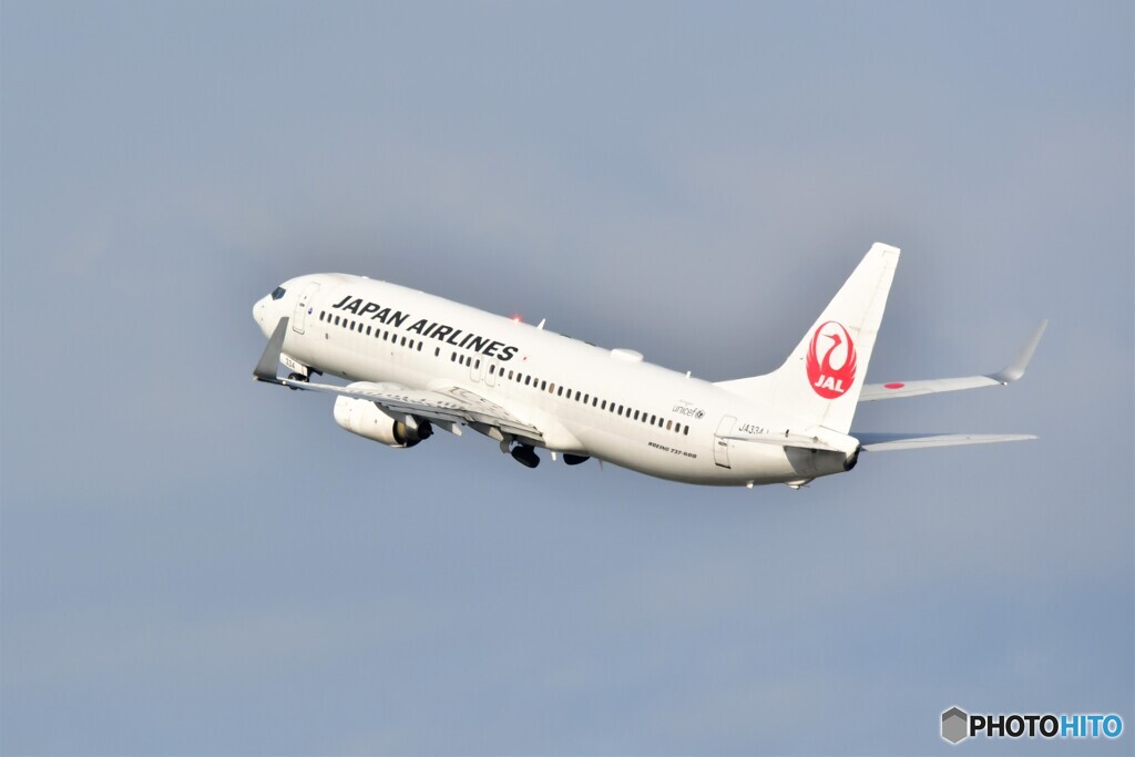 JAL Boeing737