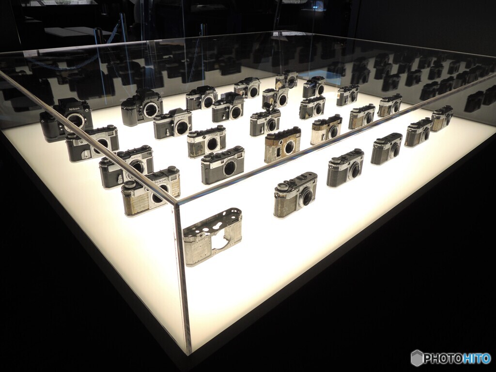 nikon　assets