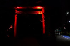 夜のさんぽ（鳥居）