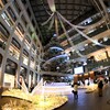Xmasツリー