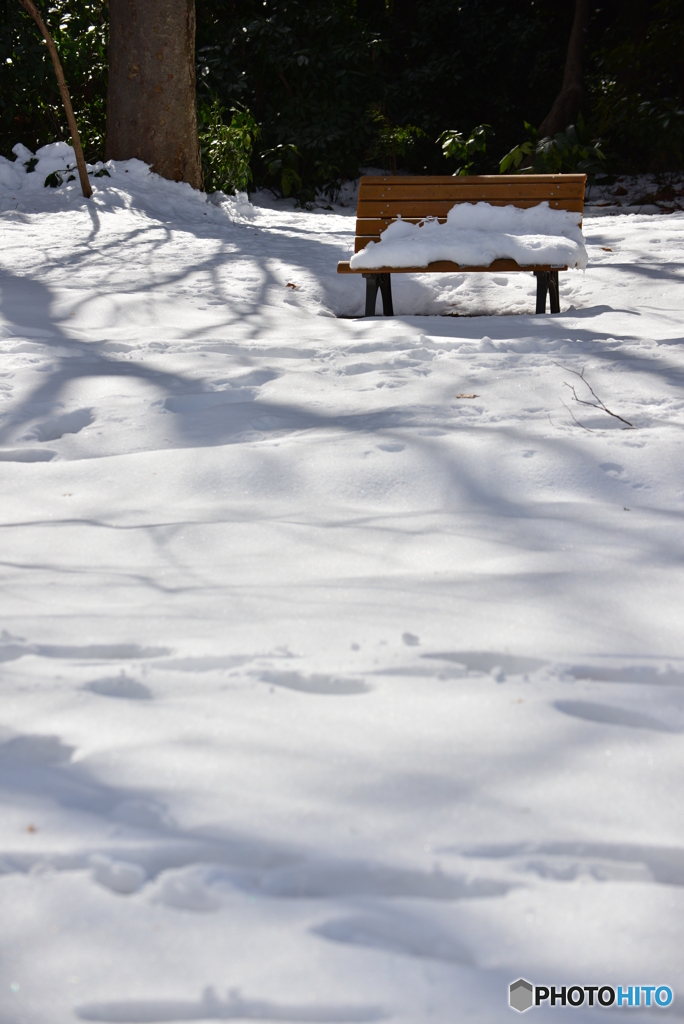 雪の中のベンチ