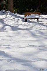 雪の中のベンチ