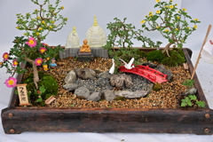 平間寺の菊花展でⅡ