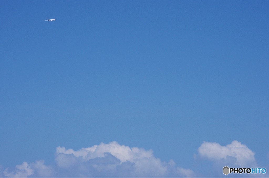 夏空へ！