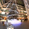 Xmasツリーの・・・