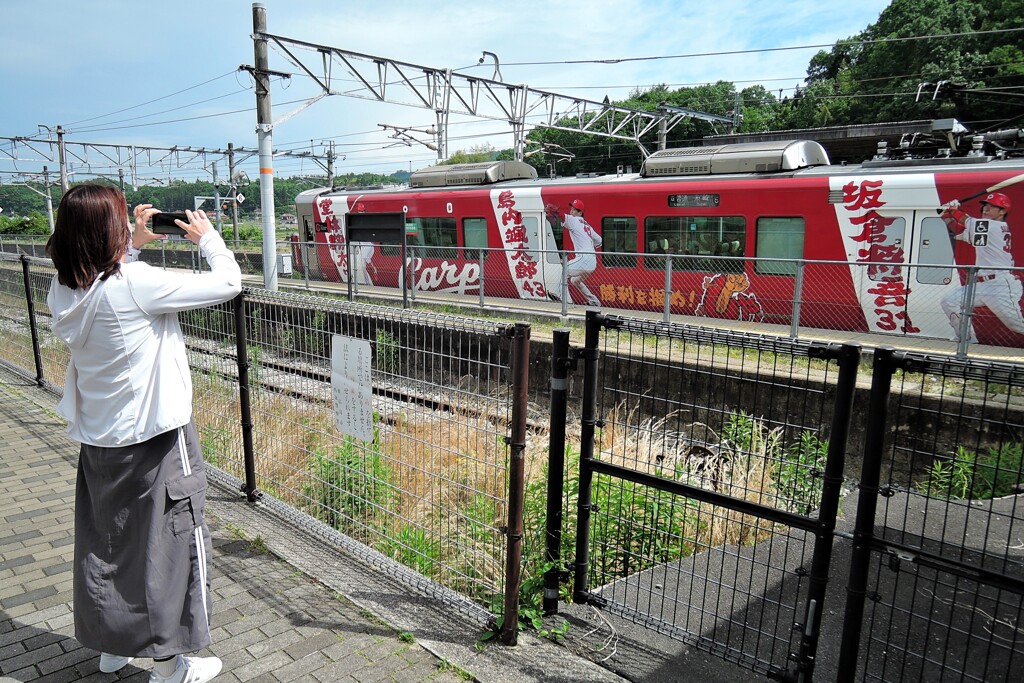 カープをとる！