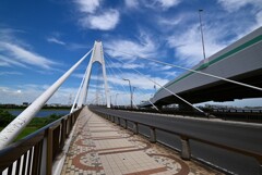 華麗なる斜張橋