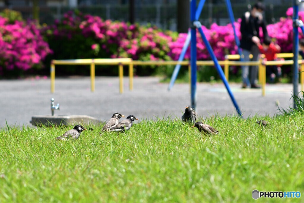 公園にて・・・今回はうちら密関係ないもんね