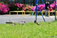 公園にて・・・今回はうちら密関係ないもんね