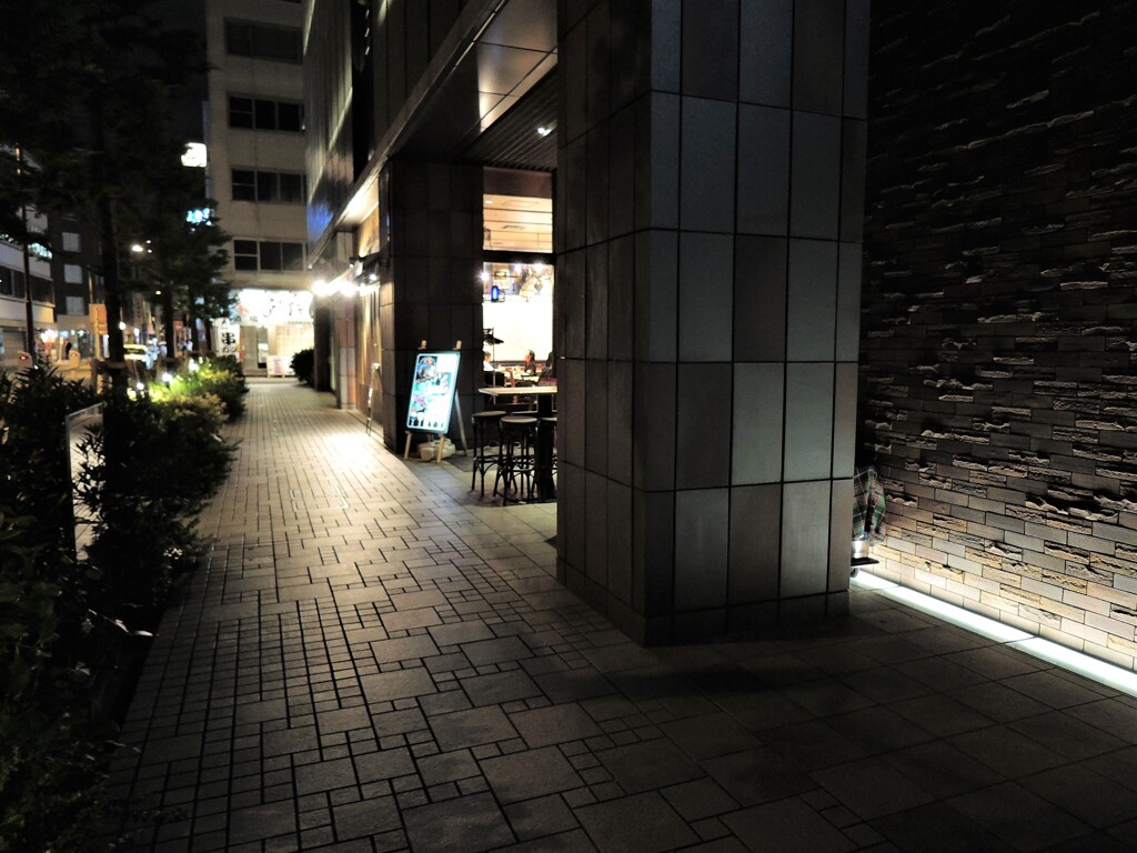 夜歩く・・・