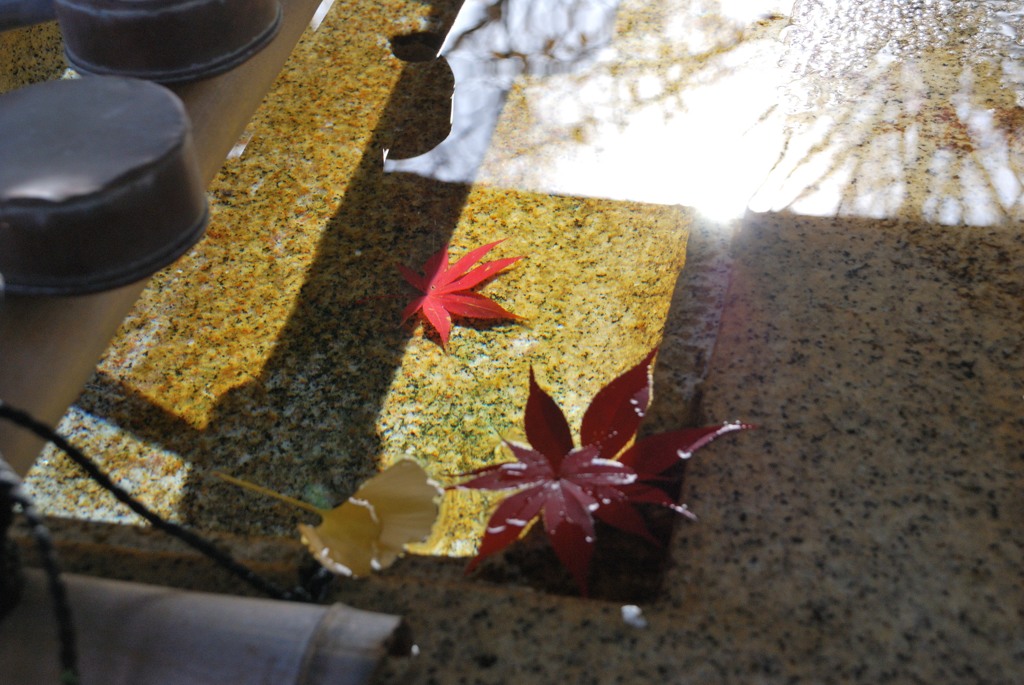 "Easy sunlight of the siwasu"