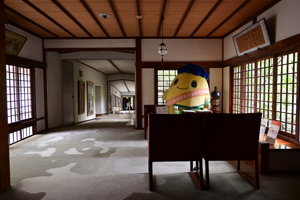 きゅっぽんのいるお部屋
