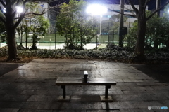 夜の公園のベンチ・・・