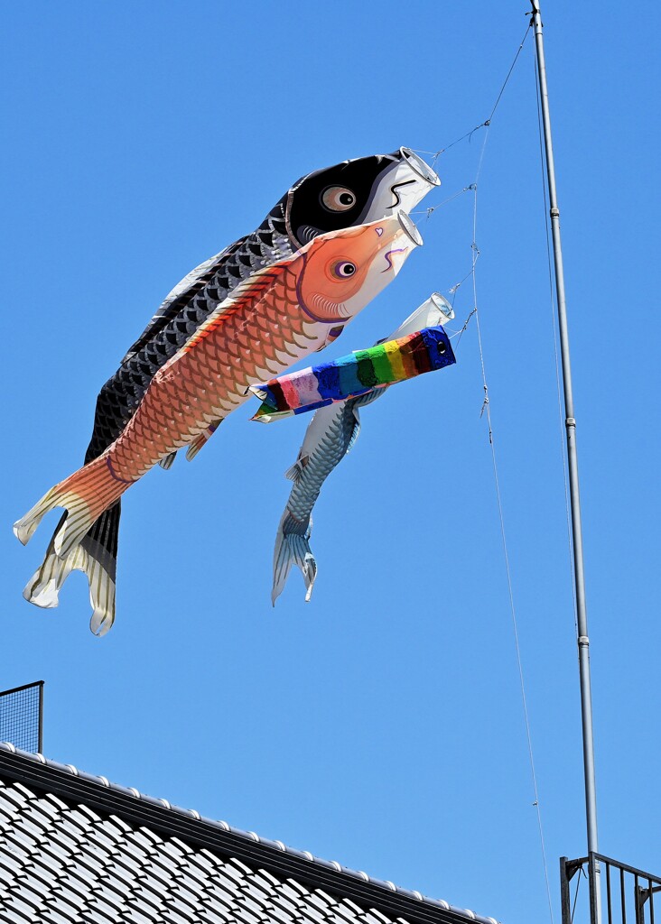 いらかのなみと