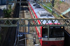 RED-600
