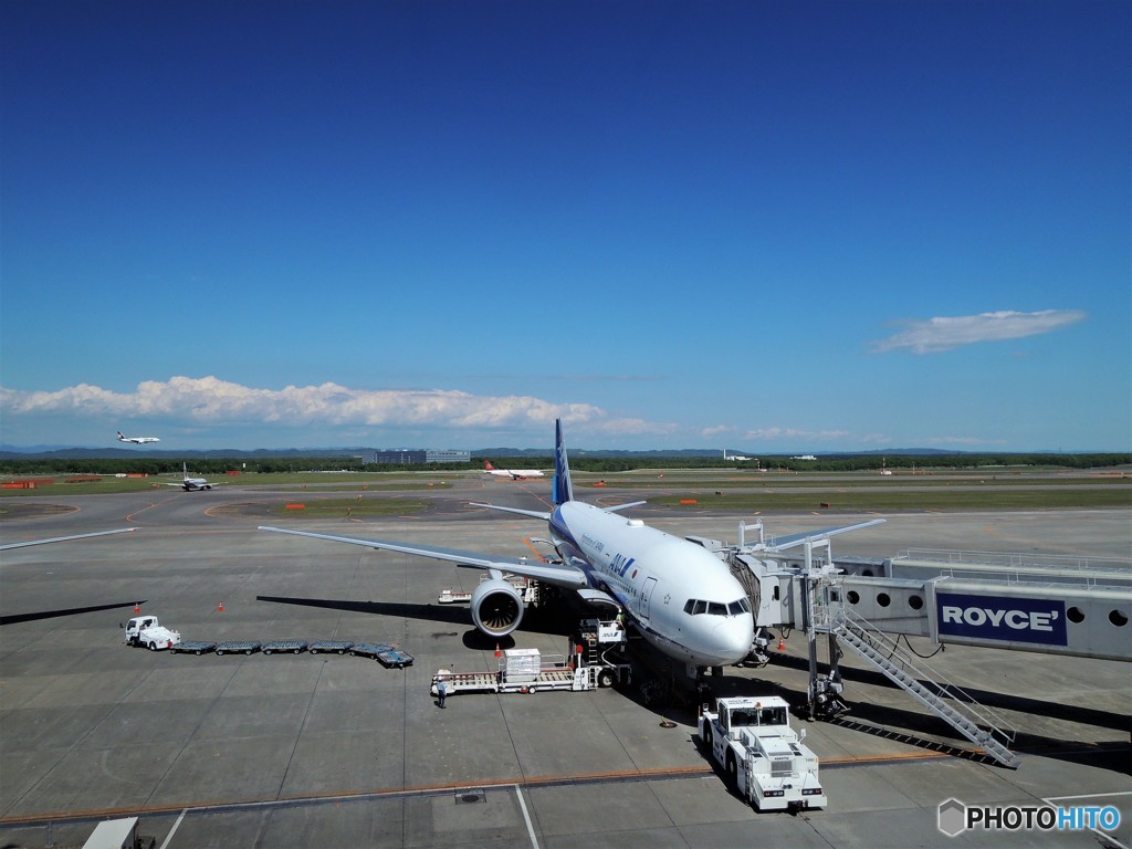 青空の新千歳空港