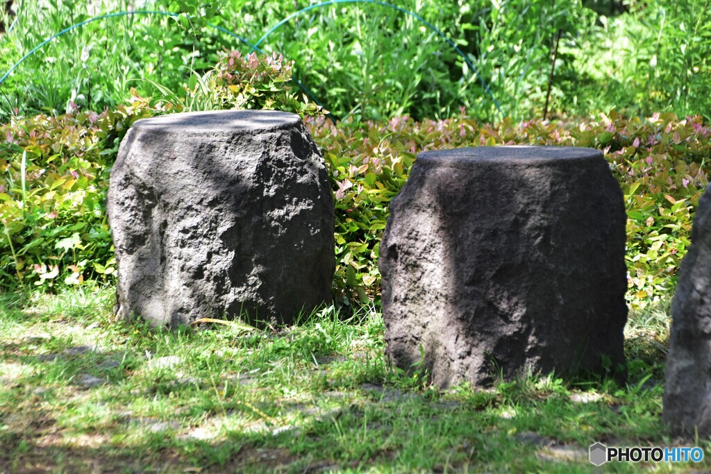 Chair of the park