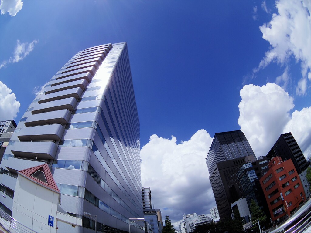 天気がよかったので・・・