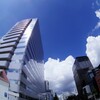 天気がよかったので・・・